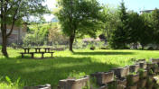 ivf ag grillplatz